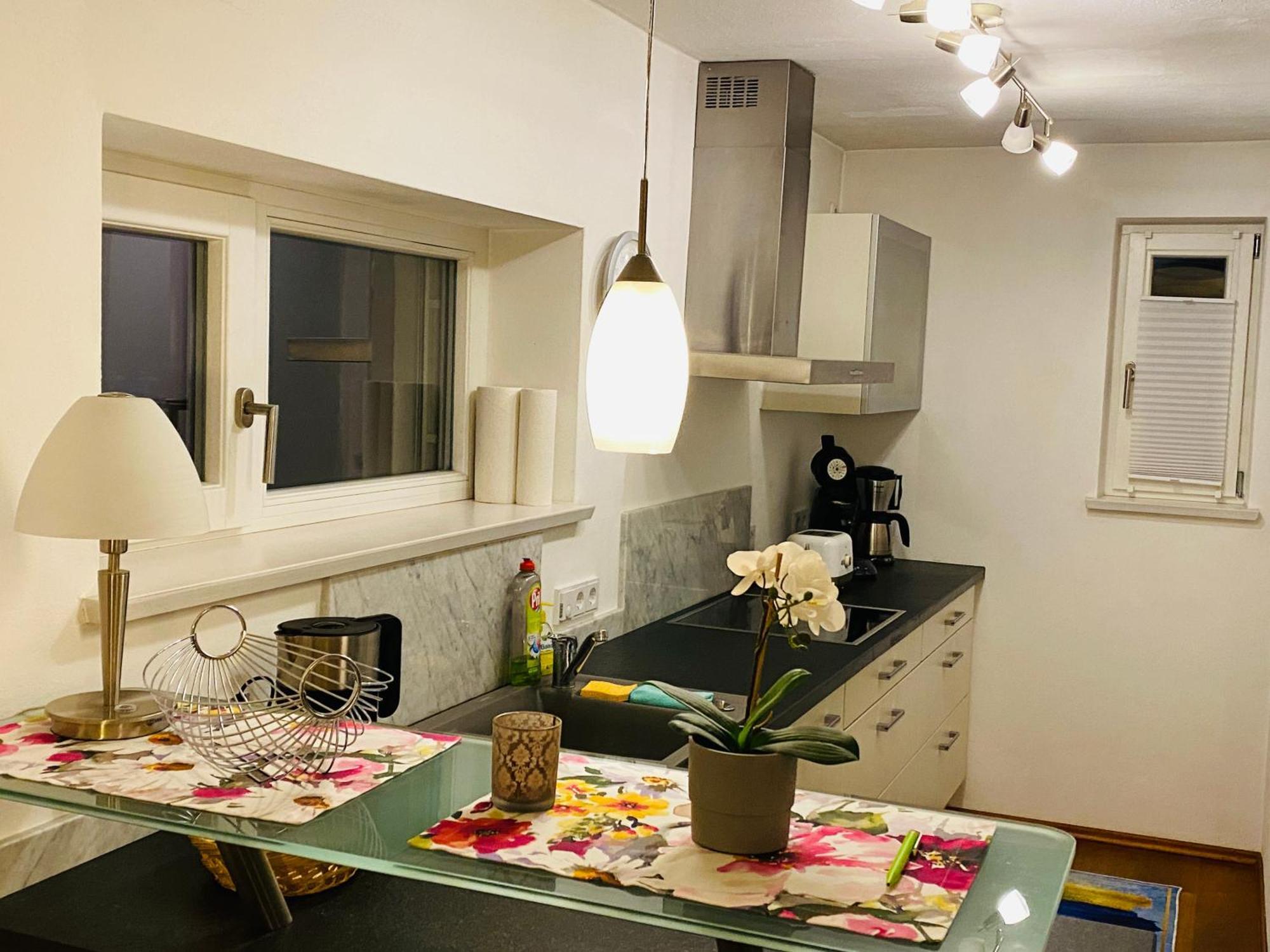 Fewo Luxus Wohnung Im Eigenen Ferienhaus, 120 Qm, Naehe Regensburg Mit Balkon, Terrasse & Garten, Gute Zuganbindung Laaber Экстерьер фото